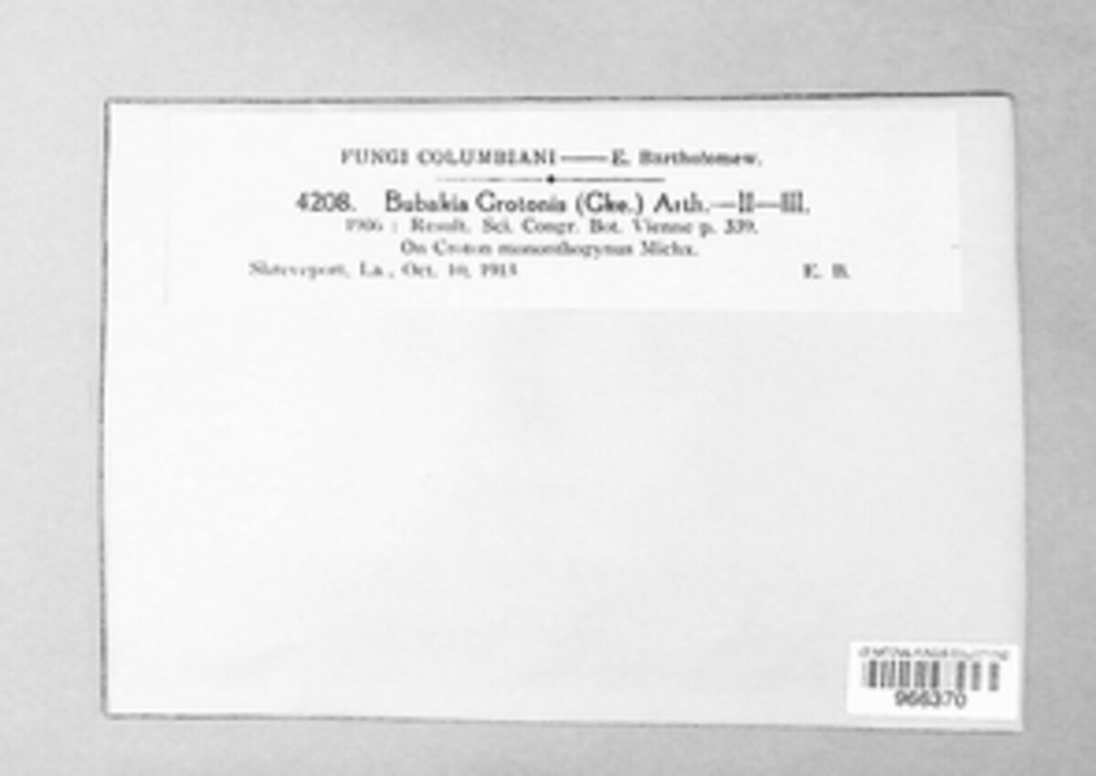 Phakopsora crotonis image
